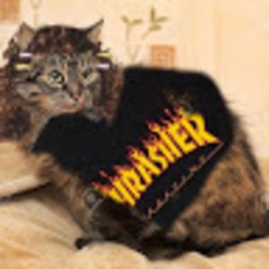 Meet your Posher, Layla